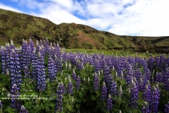 csm_IMG_0329_aea695d401_csm_watermark_9b09cc7a68_788871f135