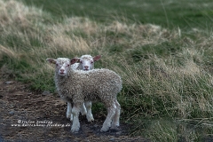 csm_IMG_8213_Kopie_07a6283560_csm_watermark_9b09cc7a68_daa28f1804