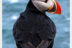 csm_island_090_abzug_a37a7860fc_csm_watermark_9b09cc7a68_5e00d75d2a