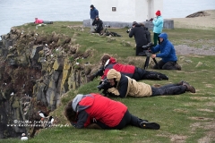 csm_island_094_0f98975379_csm_watermark_9b09cc7a68_30b0ae0da2