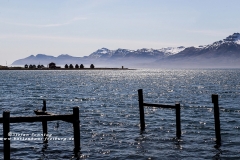 csm_island_217_gross_697f30eb9f_csm_watermark_9b09cc7a68_e07b621bea