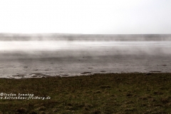 csm_island_224_d442e57700_csm_watermark_9b09cc7a68_03174631bf