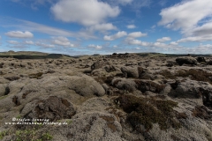 csm_island_275_ea435487e3_csm_watermark_9b09cc7a68_6edcef1b2a