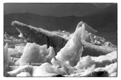 csm_island_254geae_c37207814b_csm_watermark_9b09cc7a68_996b0686a0