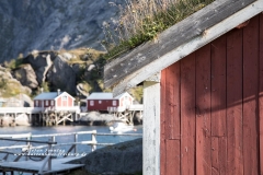 csm_Norwegen293_d953acbe7c_csm_watermark_9b09cc7a68_221841fd2c