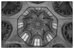 csm_IMG_8901_Kopie_13a61fe1b2_csm_watermark_9b09cc7a68_02b9ab1818
