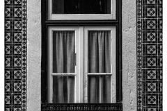 csm_Portugal_016_856648c906_csm_watermark_9b09cc7a68_445360d2dc