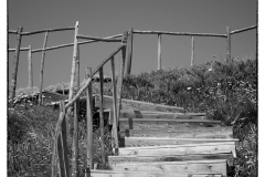 csm_Portugal_144_ab69b692fa_csm_watermark_9b09cc7a68_ca06e58e38