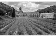 csm_IMGL0194_Kopie_c1c05a7c9a_csm_watermark_9b09cc7a68_ee1748f301