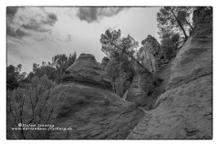 csm_IMGL0633_3084bc9971_csm_watermark_9b09cc7a68_de9ae13acb