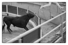 csm_IMGL9483_Kopie_3f0b73e3b9_csm_watermark_9b09cc7a68_32ada5a7dd