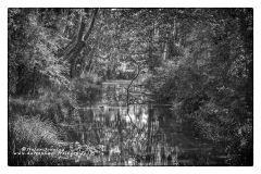 csm_IMGL9637_Kopie_c3cd44fe71_csm_watermark_9b09cc7a68_117e3d3aa1