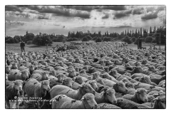 csm_IMGL9704_Kopie_a86fc8756d_csm_watermark_9b09cc7a68_e2c823055a