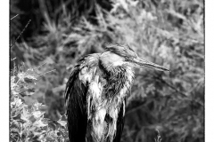 csm_IMG_0297_Kopie_ef903de61d_csm_watermark_9b09cc7a68_bd7df5a66f