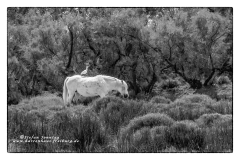 csm_IMG_0397_Kopie_a98b3ff077_csm_watermark_9b09cc7a68_ca007ae34e