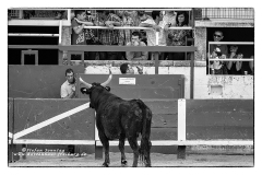 csm_IMG_9945_Kopie_3f3ff55529_csm_watermark_9b09cc7a68_43ea5ca64c